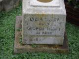 image of grave number 807450